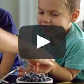 Load image into Gallery viewer, Blendtec Professional 800 Blender with Wildside+